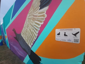 Se hizo un mural en