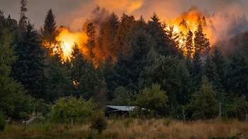 Incendios forestales en la Patagonia: